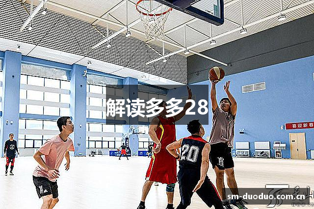 解读多多28